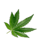Small cannabis leaf