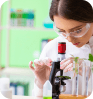 A girl examining medical cannabis through a microscope